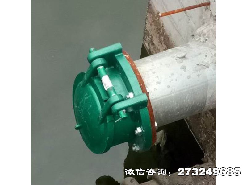 污水管道玻璃鋼拍門