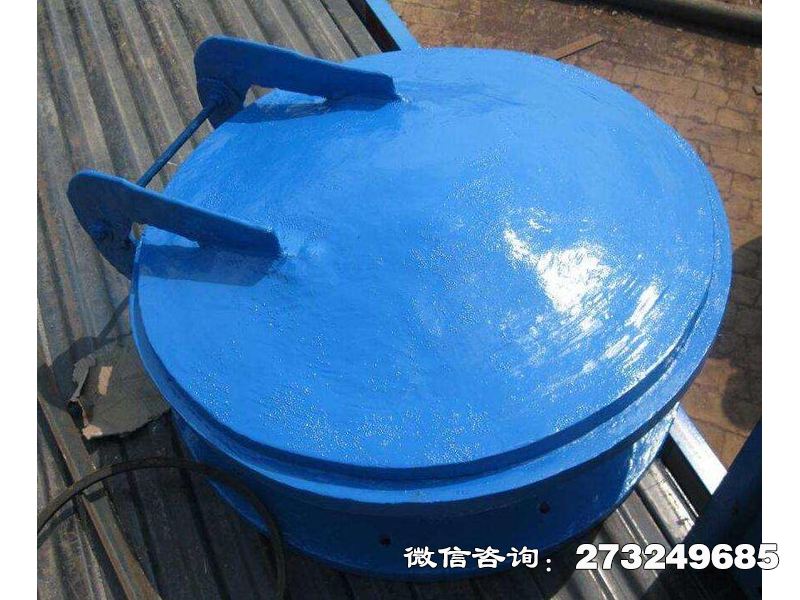 復(fù)合材料防倒灌拍門