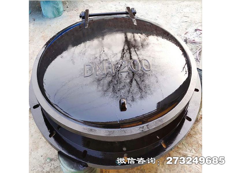 防倒灌玻璃鋼拍門