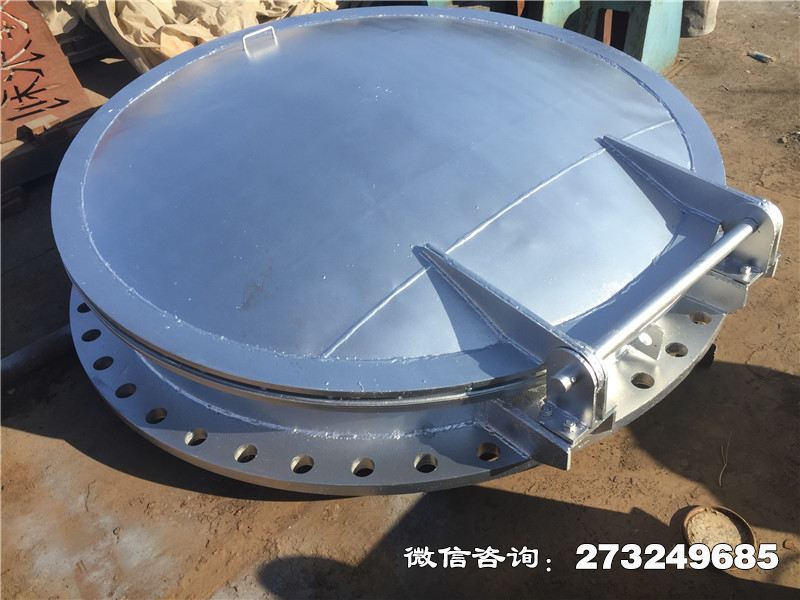 不銹鋼止回拍門