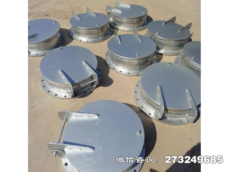 防倒灌不銹鋼拍門