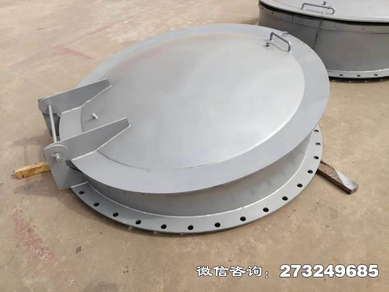 不銹鋼逆止拍門