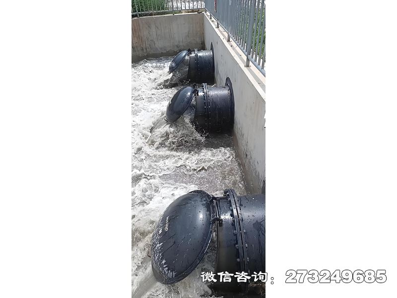 污水處理廠潮門拍門