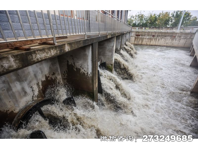 水庫(kù)溢洪道潮門拍門