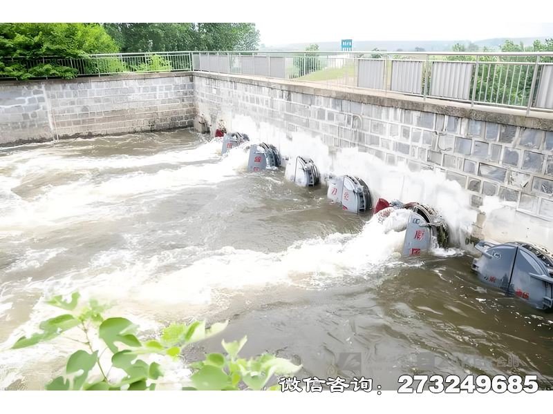 河道防洪堤排水潮門拍門