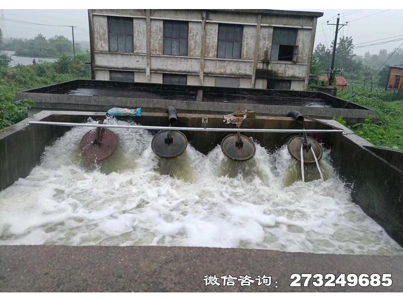 行洪區(qū)退水口潮門拍門