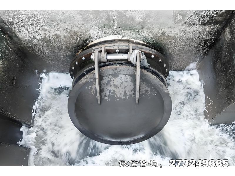 河道排水潮門拍門