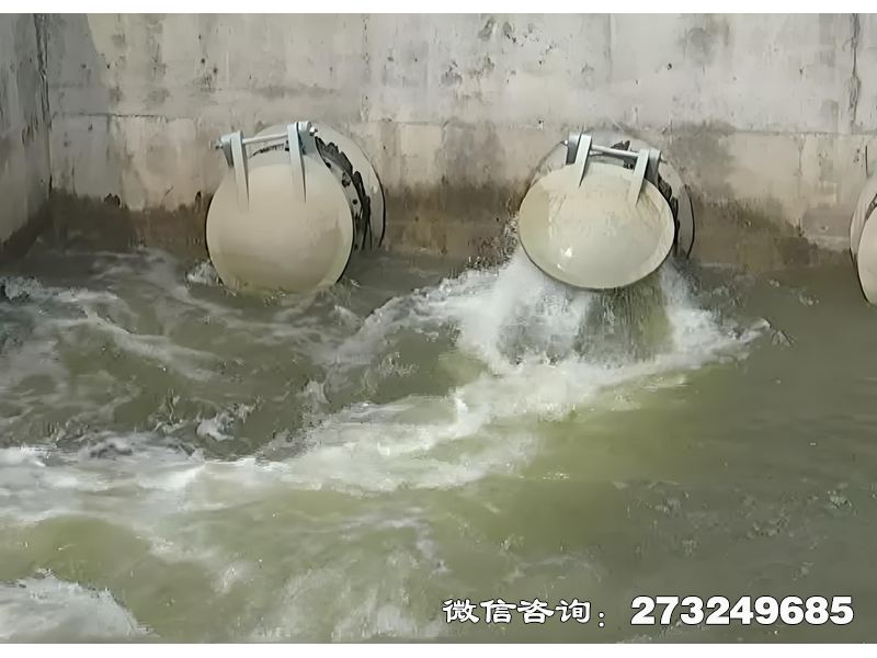 河道生態(tài)護(hù)岸排水潮門(mén)拍門(mén)專(zhuān)為生態(tài)河道、濕地保護(hù)設(shè)計(jì)，采用FRP或不銹鋼材質(zhì)，安裝于生態(tài)護(hù)岸排水孔與補(bǔ)水口。生態(tài)保護(hù)機(jī)構(gòu)、內(nèi)河航道管理局常用，通過(guò)自動(dòng)啟閉兼顧防洪與生態(tài)需水，低水頭損失設(shè)計(jì)保護(hù)水生生物。產(chǎn)品耐長(zhǎng)期浸泡，適配淡水及輕度污染水體。價(jià)格電聯(lián)，支持生態(tài)兼容性測(cè)試及景觀化外觀定制。