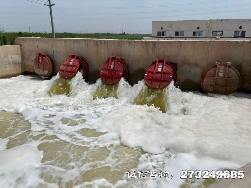 河口整治工程潮門拍門