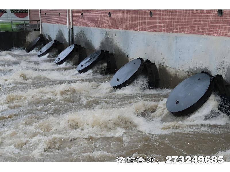 灌溉渠首水閘潮門拍門適用于農(nóng)田灌溉干渠、生態(tài)補水工程，采用FRP或鑄鐵材質(zhì)，安裝于渠首進水口與節(jié)制閘。灌溉公司、農(nóng)業(yè)合作社常用，通過自動啟閉控制灌溉水流，減少水頭損失。產(chǎn)品輕便易安裝，適配DN200-DN1500中小管徑，支持手動調(diào)節(jié)開度與分水比例設計。價格咨詢廠家，支持防滲漏密封定制及智能化升級。