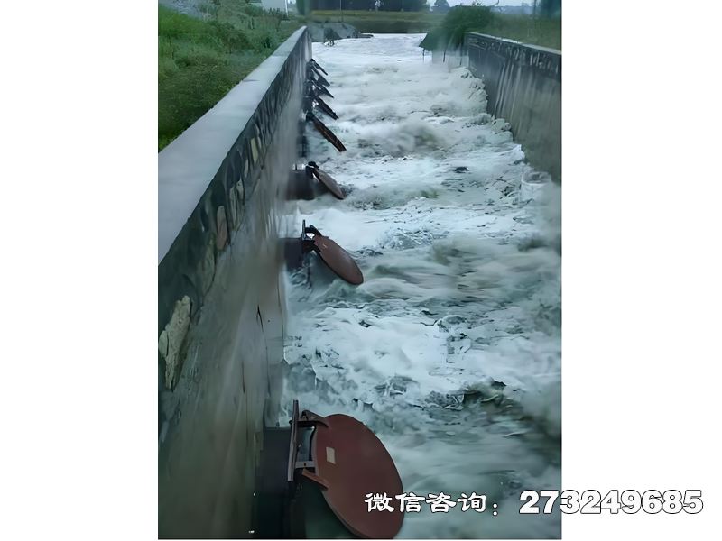 進(jìn)出口潮門拍門用于港口碼頭、船舶壓載水系統(tǒng)，采用316L不銹鋼材質(zhì)，適配港區(qū)排水與船舶運(yùn)營需求。港口管理處、船舶公司常用，通過自動啟閉控制潮水漲落，保護(hù)港區(qū)設(shè)備免受海水侵蝕。產(chǎn)品結(jié)構(gòu)緊湊，適配大流量排水需求，符合船級社認(rèn)證標(biāo)準(zhǔn)。價(jià)格電聯(lián)，支持船用規(guī)格定制及防爆設(shè)計(jì)。