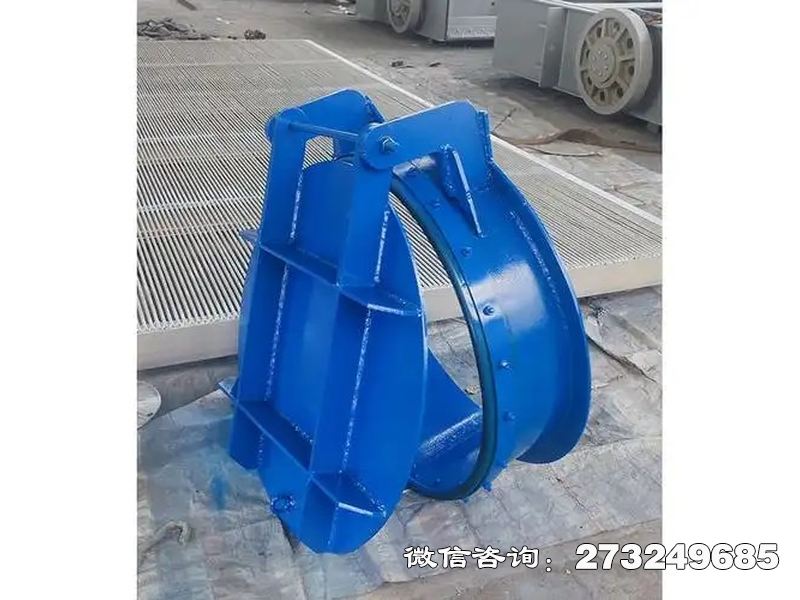 鎮(zhèn)原縣水庫鋼制防倒灌拍門