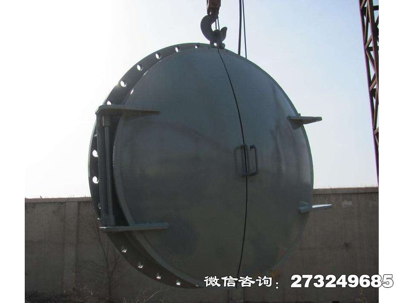 沙洋縣農(nóng)田灌溉鋼制拍門(mén)