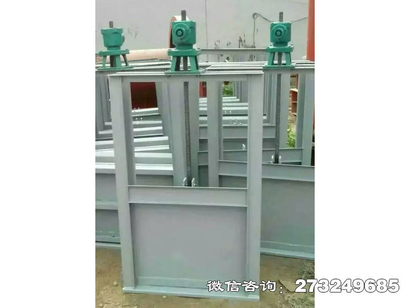 巧家縣水管所灌溉機(jī)閘一體閘門