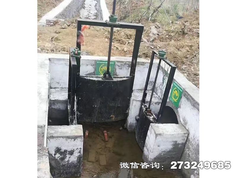 分水灌渠機閘一體閘門