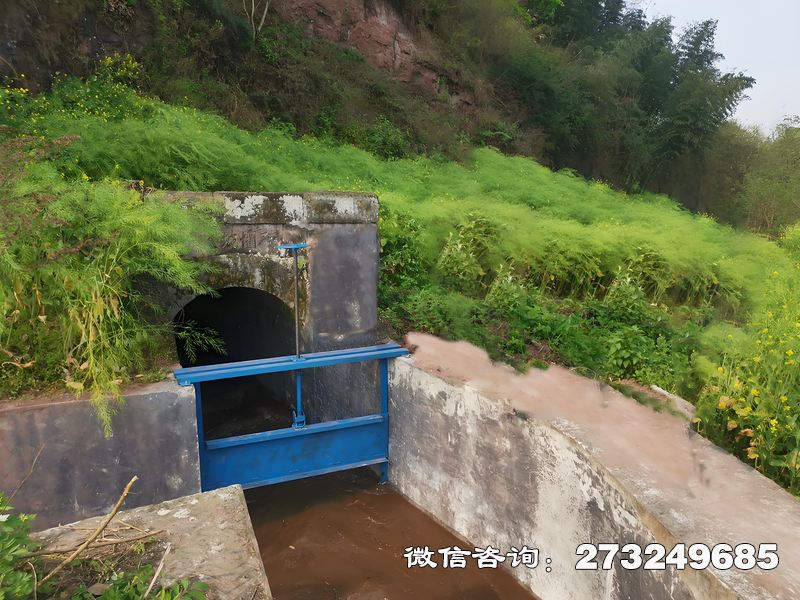 沙洋縣水渠排澇閘