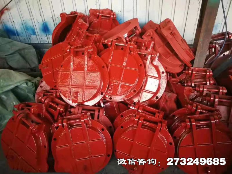 磁縣鑄鐵圓形泵站拍門